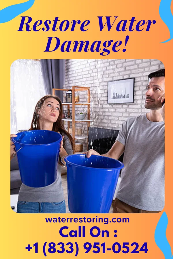 water restoration Global Mitigation Services Cook