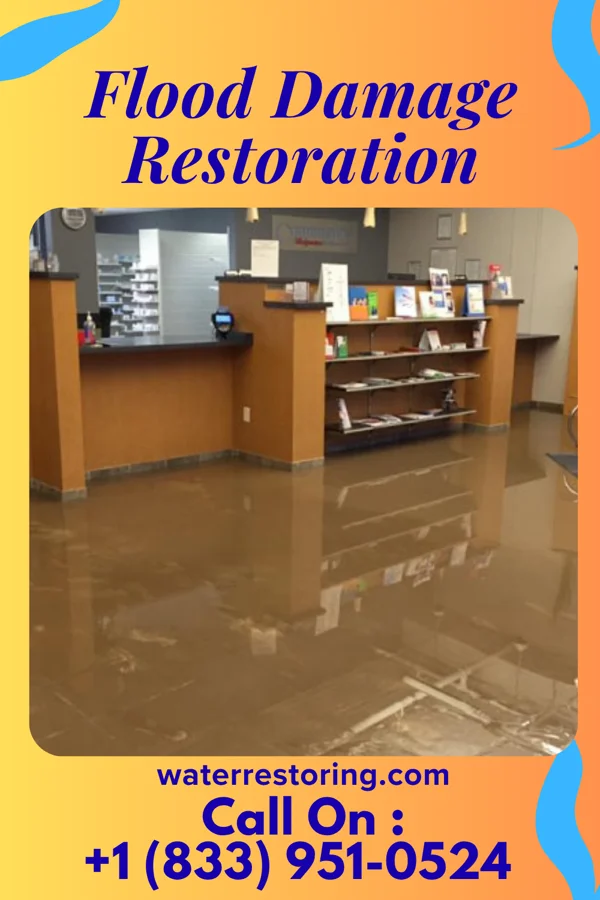 Flood Damage Restoration in Cook, NE