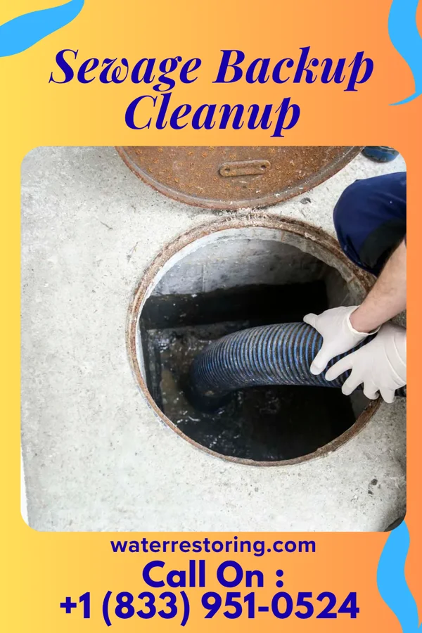 Sewage Backup Cleanup in Cook, NE