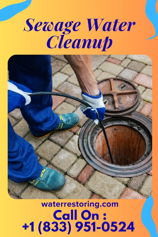 Sewage Water Cleanup in Cook, NE