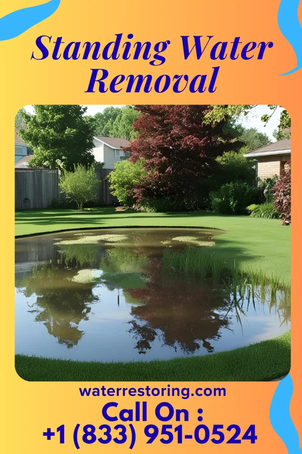 Standing Water Removal in Cook, NE
